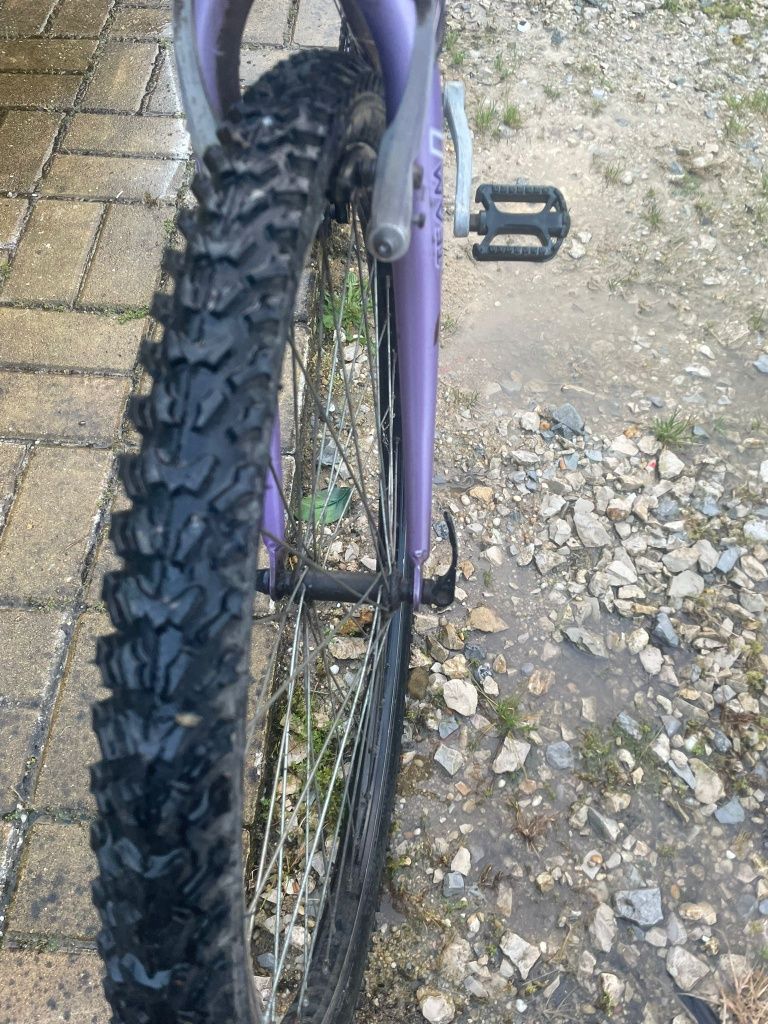 Vendo Bicicleta TEAM