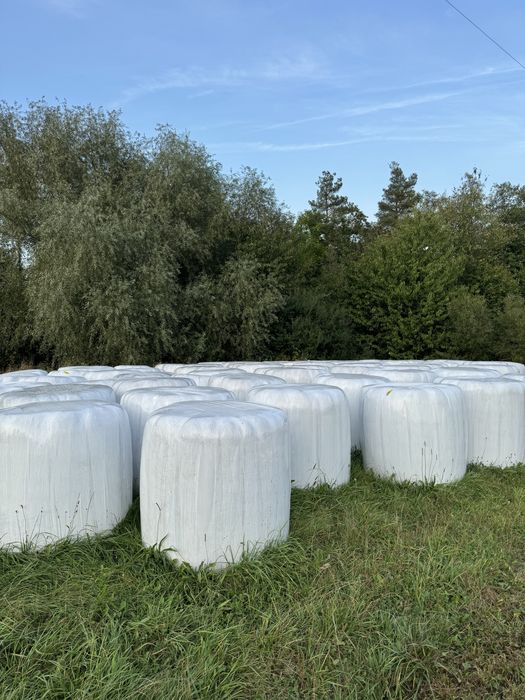 Sianokiszonka tegoroczna