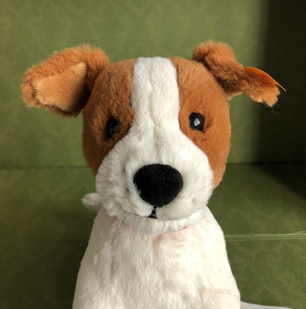 Nowa maskotka Steiff piesek Jack Russell terrier