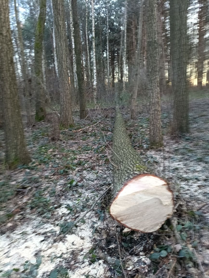 Uslugi łupania drewna wynajem ciecie drewna przetarcie drewna