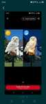 Lampion LED solarny sowa.