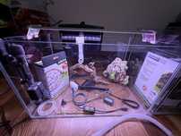 2 akwarium + cały zestaw sinkor,lampa led