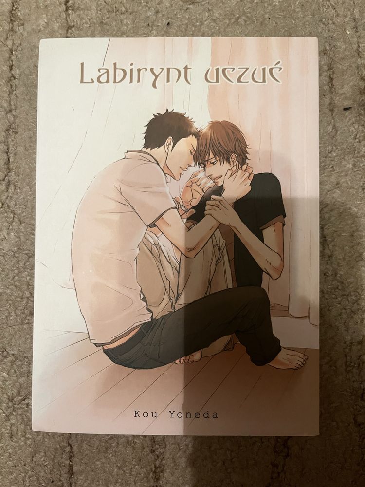 Manga, Yaoi: Kou Yoneda- labirynt uczuć
