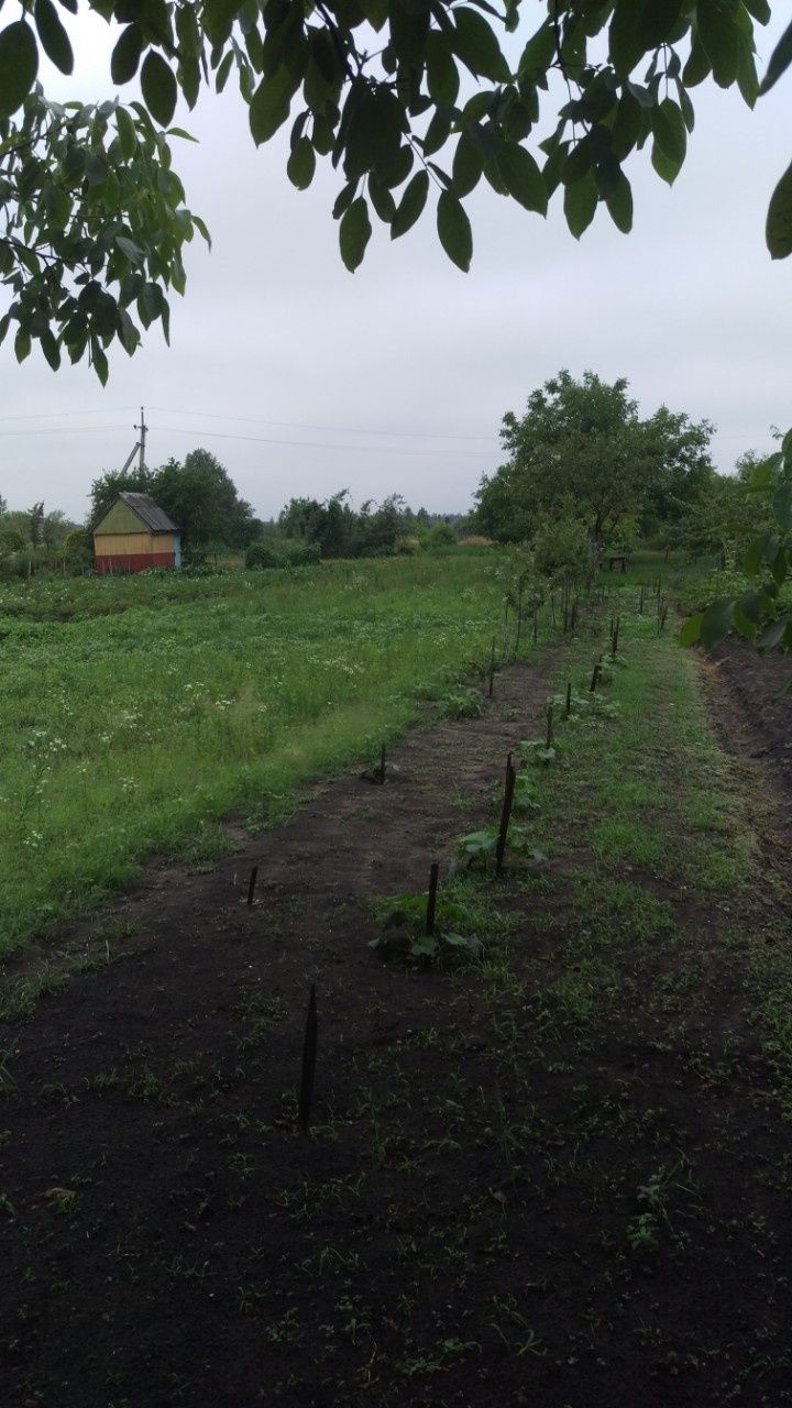 Земельна ділянка м.Ковель. Приватизована.