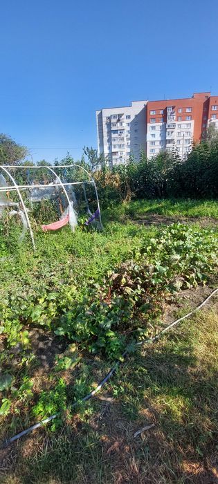 Продам земельну ділянку івана кожедуба