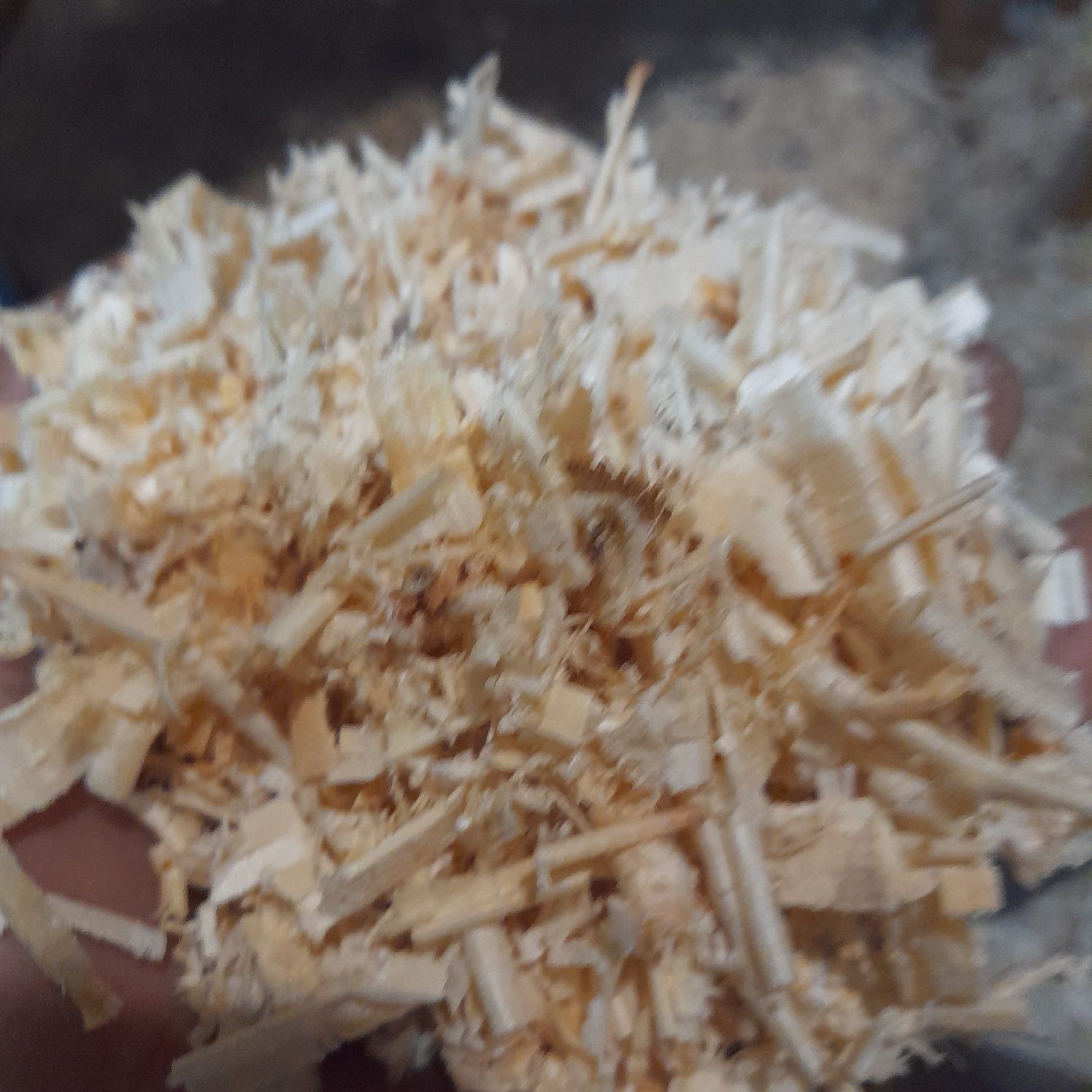 Продам тирсу опілки