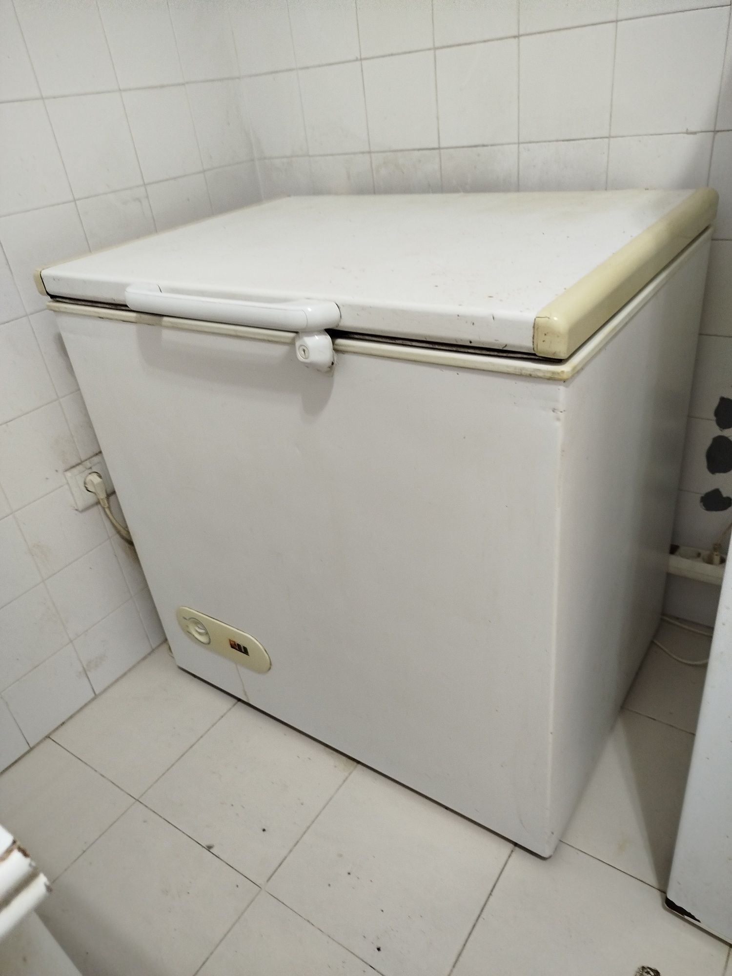 Arca congeladora