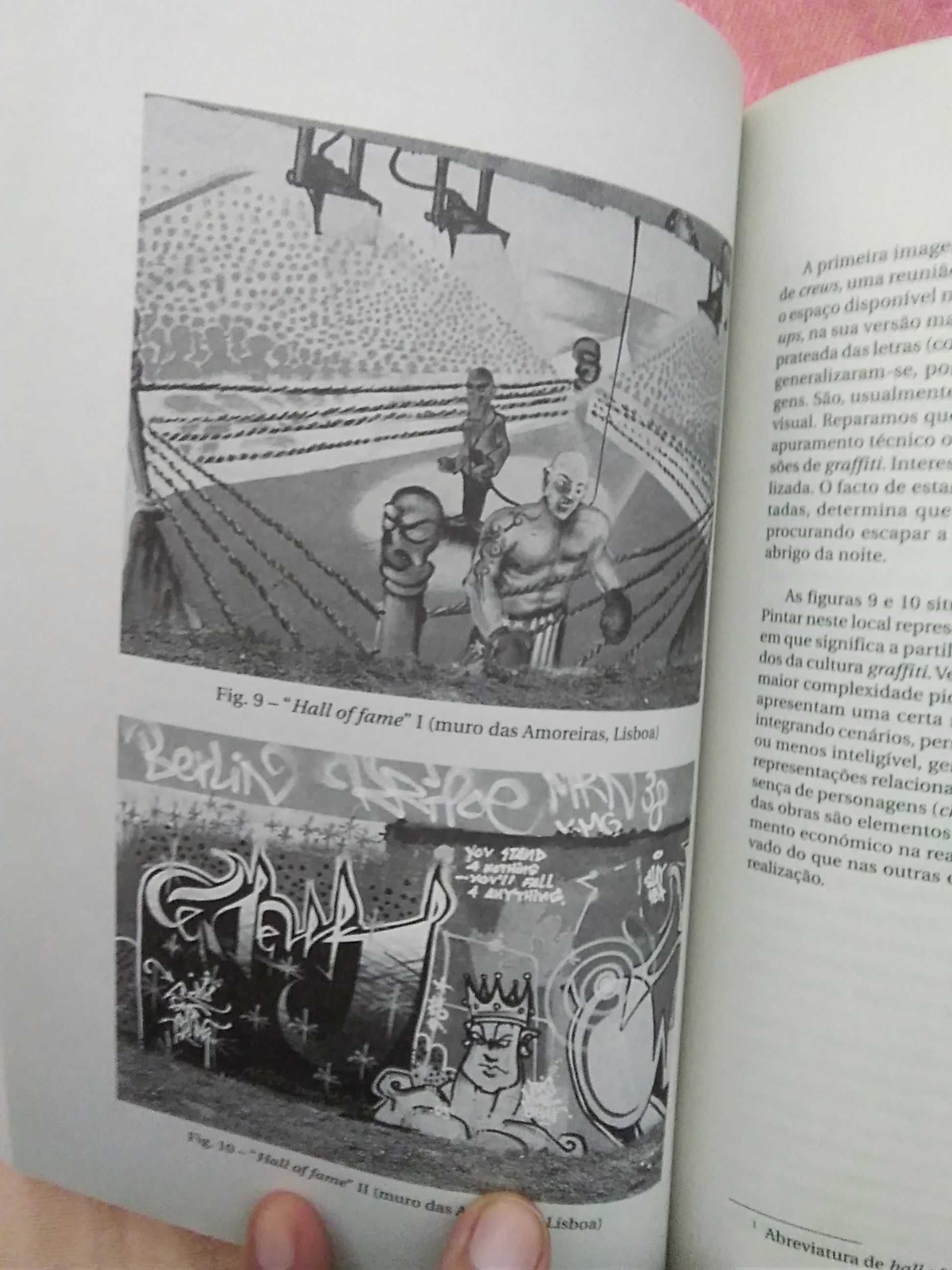 Porque Pintamos a Cidade? - Uma Abordagem Etnográfica do Graffiti