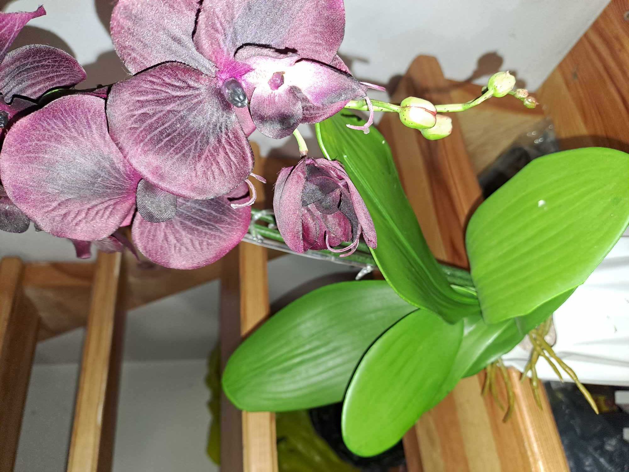 FEJKA Sztuczna roślina doniczkowa, Orchidea fioletowa storczyk 80 cm