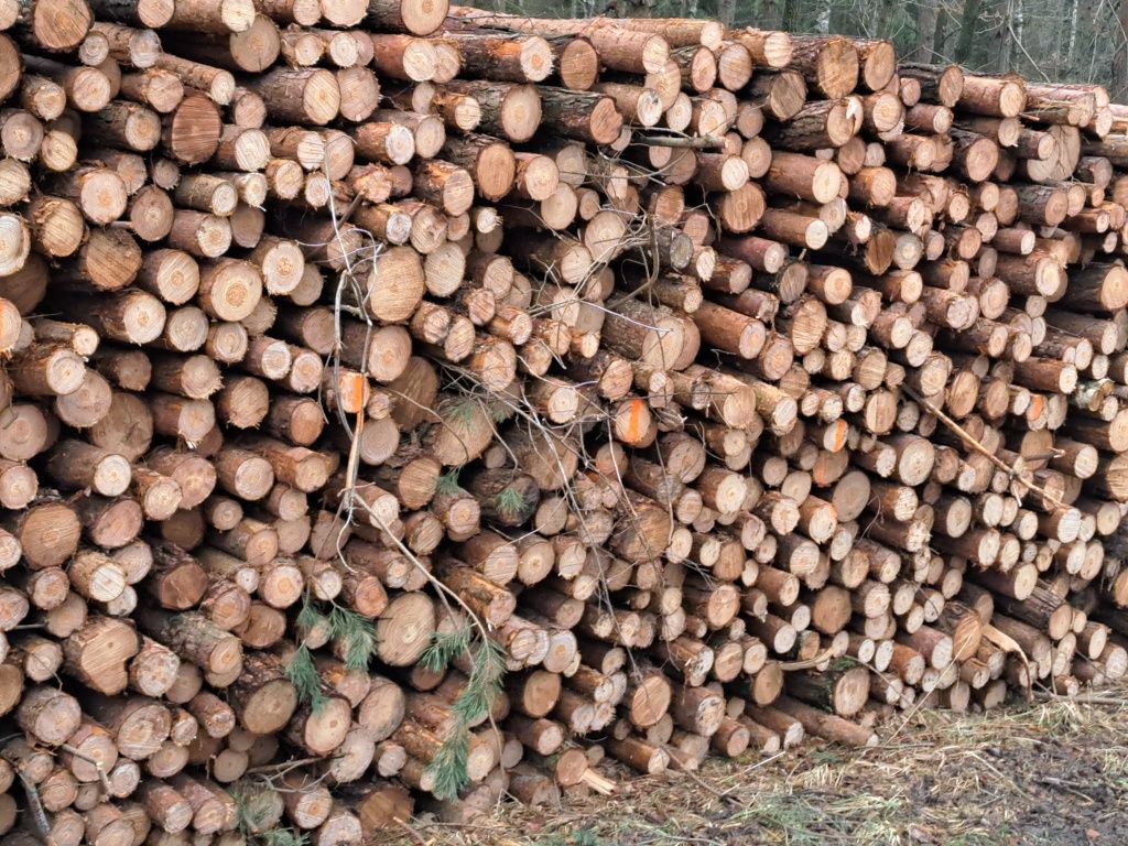 Drewno kominkowe i opałowe