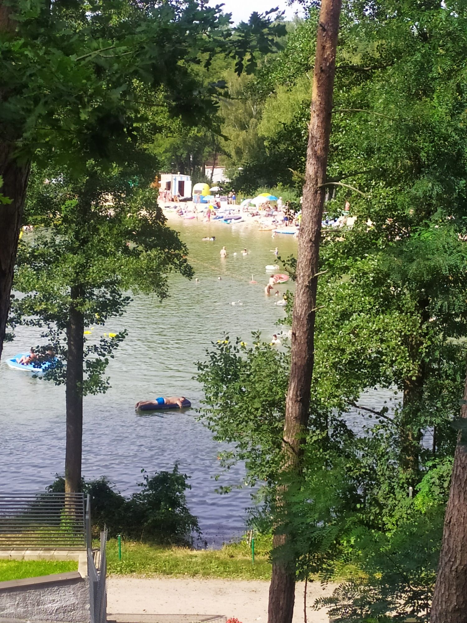 Mały domek na skraju lasu