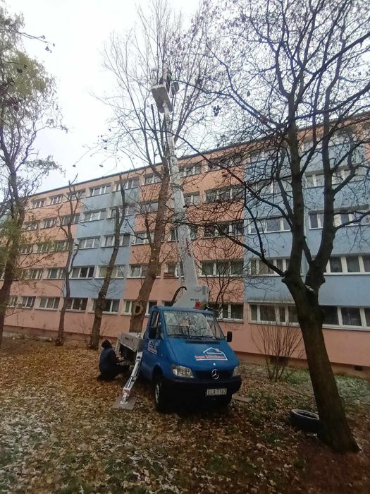 Wycinka drzew, wycinka drzewa, frezowanie pni, Rębak do gałęzi,