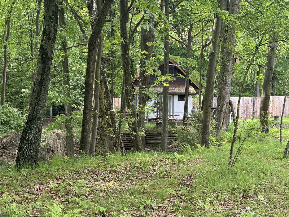 Domek sauna kominek las - tylko dla dorosłych