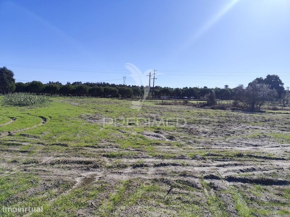 Terreno Rustico na Aldeia do Futuro