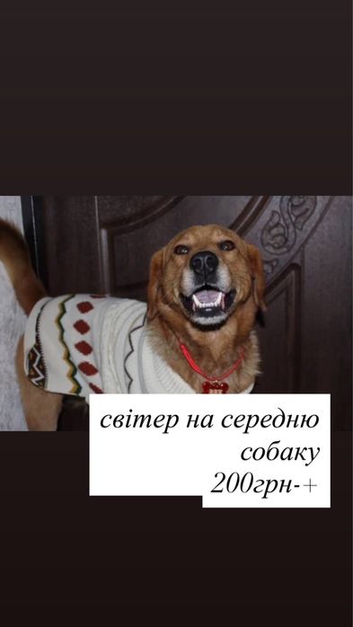 корм опті лайф) \корм шезір\одяг\віск|їжа