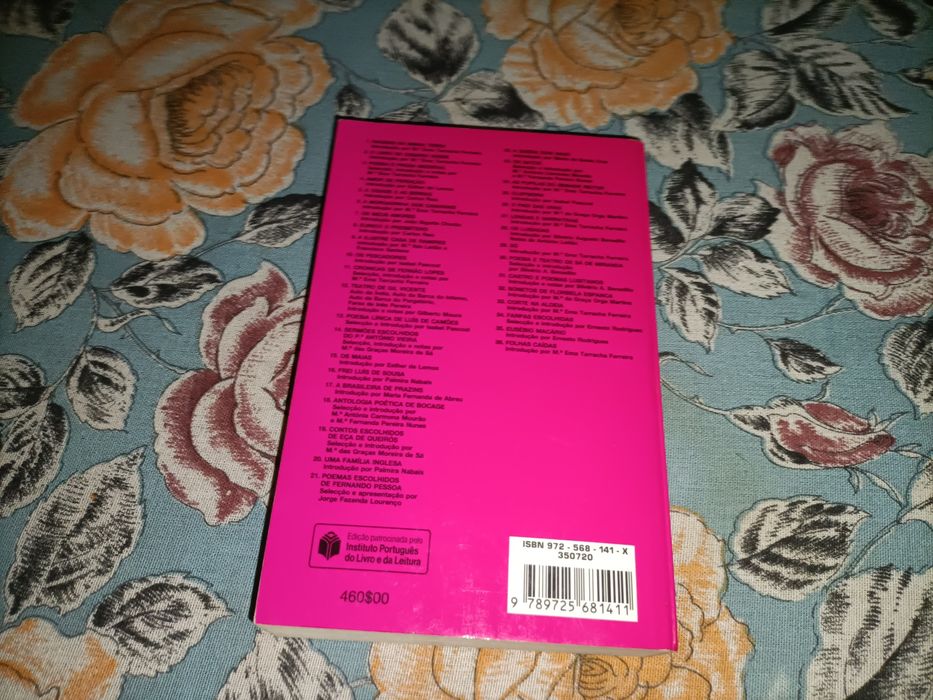 Uma família inglesa_Júlio Dinis