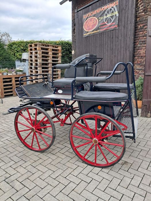 Bryczka Konna Maratonka Powóz Treningowa