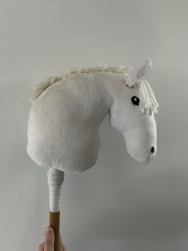 Piękny hobby horse