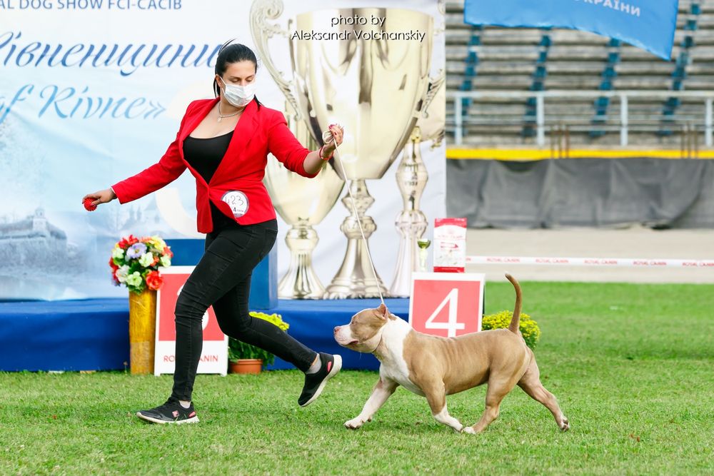 Відкритий для В'язки