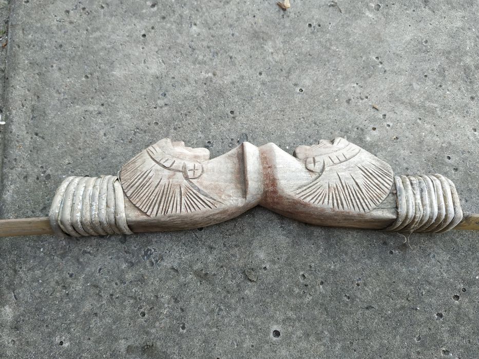 Лук декоративный