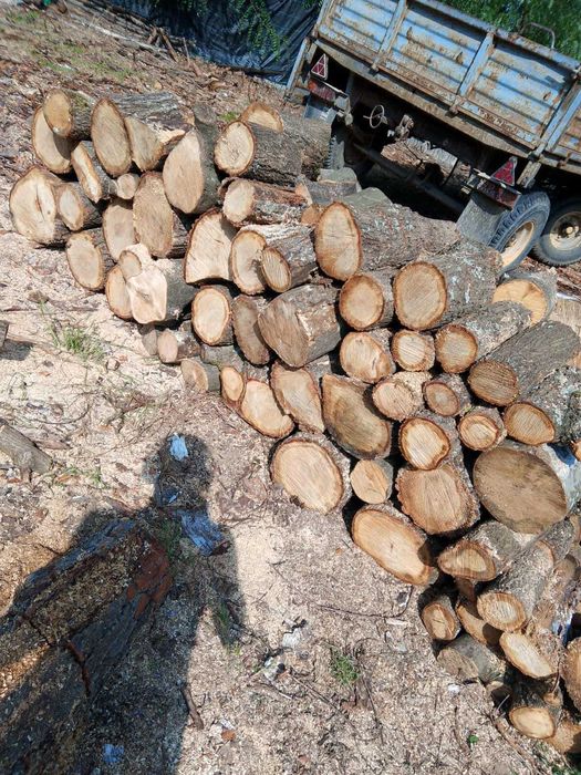 Drewno Kominkowe/opałowe, z Transportem Tanio!! dąb, buk/brzoza/sosna/