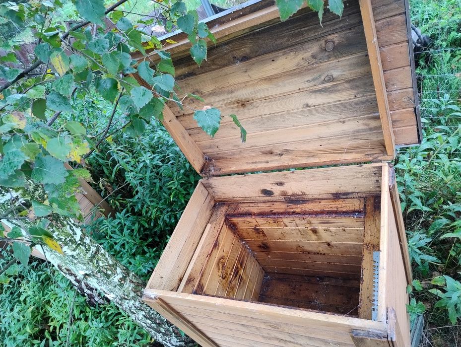 Ule warszawskie poszerzane