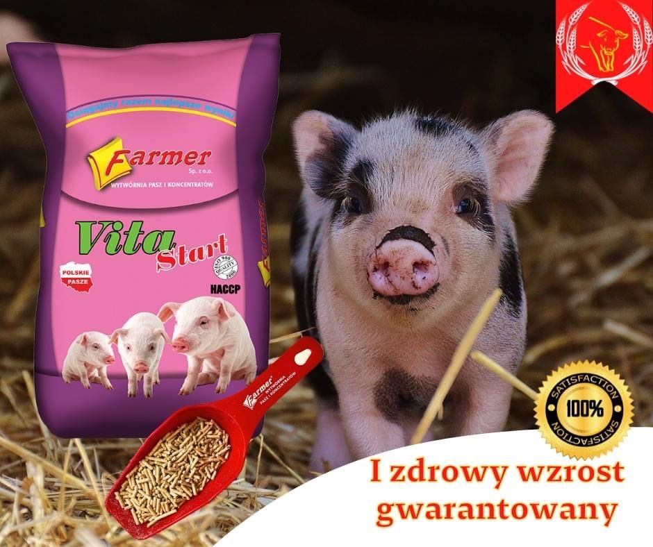 Mieszanka dla kur niosek granulat kruszonka pasza