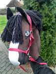 Hobby Horse Gniady