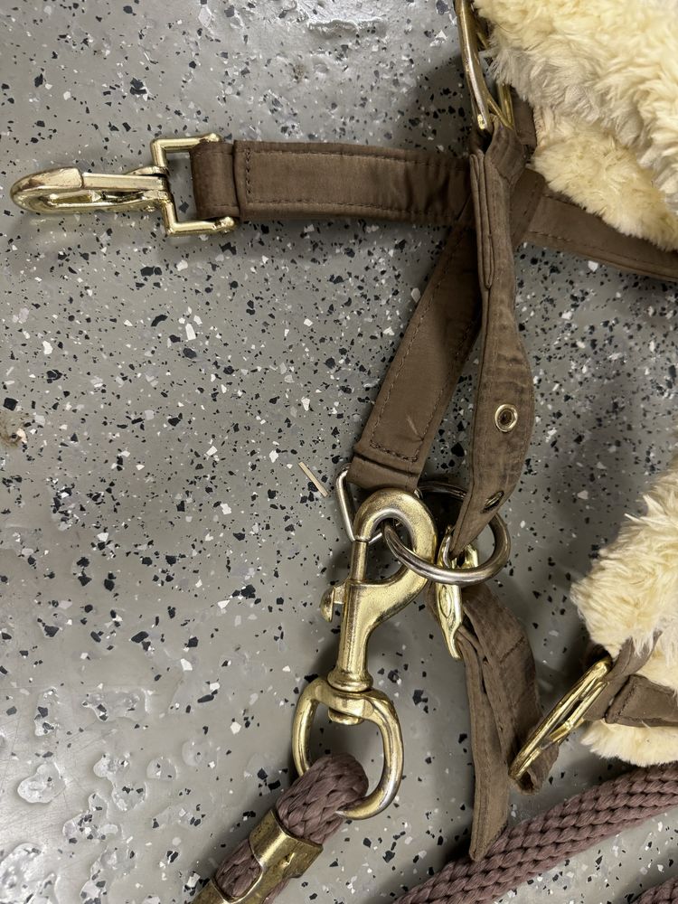 Kantar z uwiązem equestrian stockholm