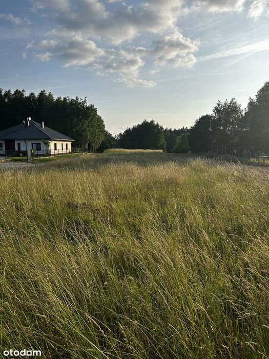 Działka  4410m2 Felinów-Osjaków w okolicy rzeki Warty.