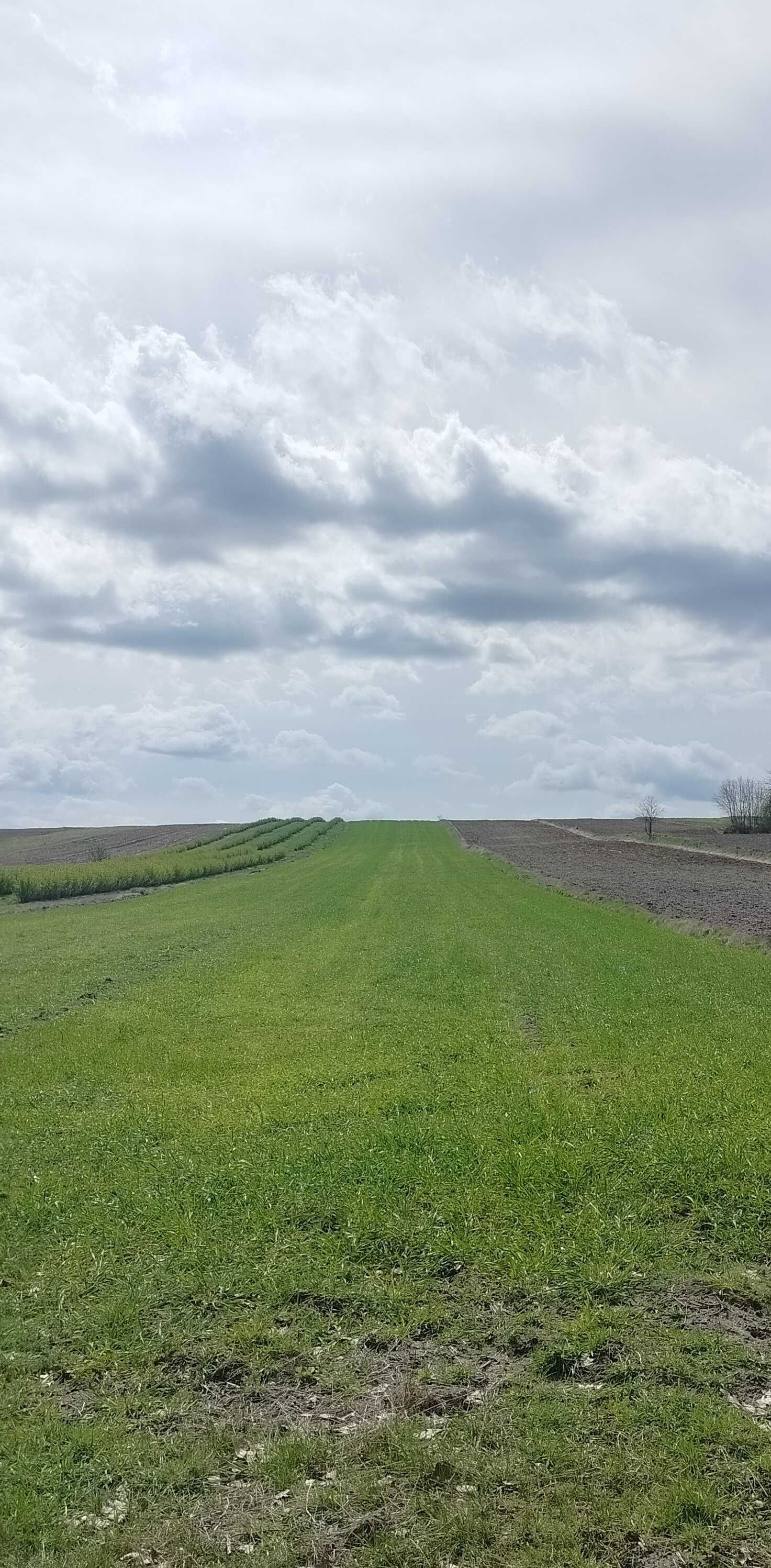 Roztocze, dom z działką rolną