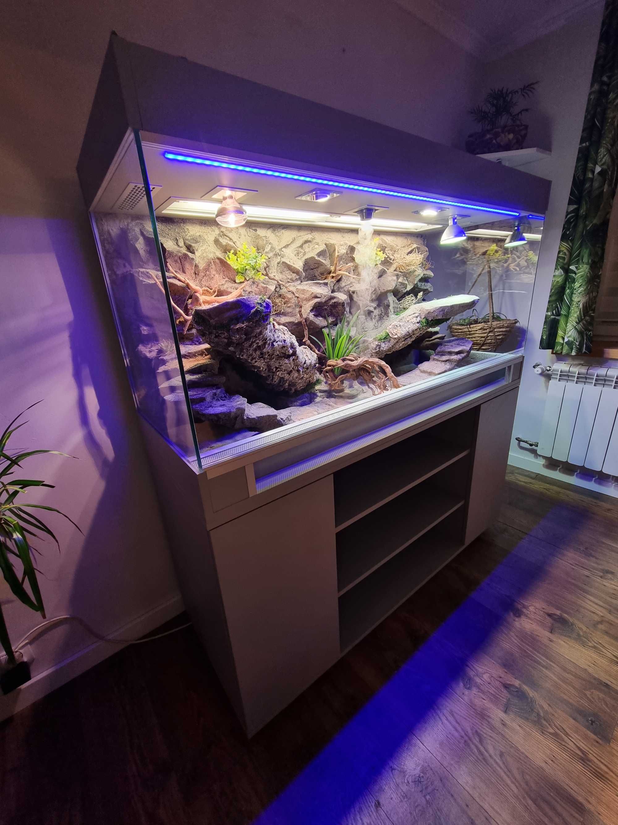 Terrarium dla agamy brodatej na zamówienie