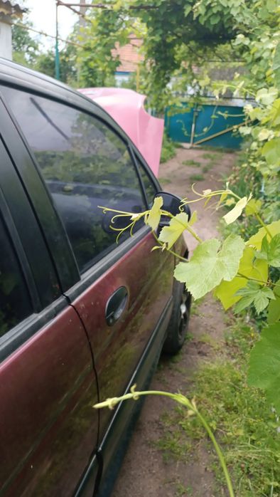 Daewoo Matiz 2008 року