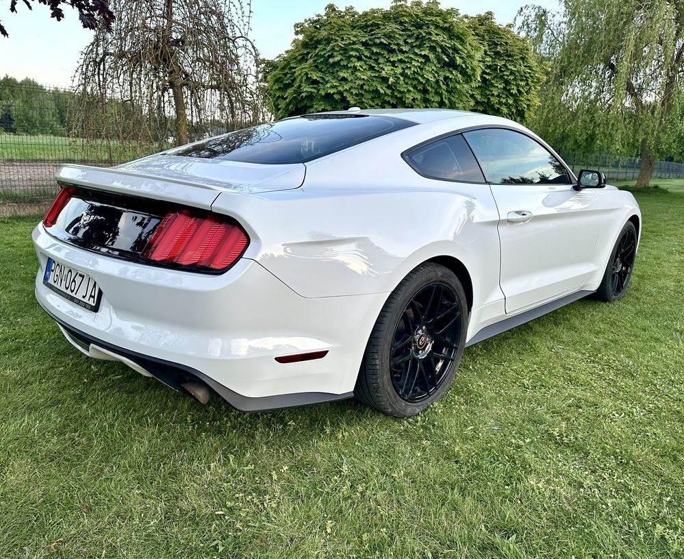 Wypozyczalnia aut Promocja wynajem Mustang Coupe okazja slub wesele
