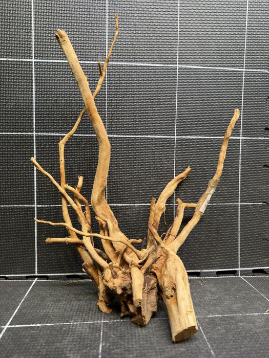 Korzeń red moor wood n-293