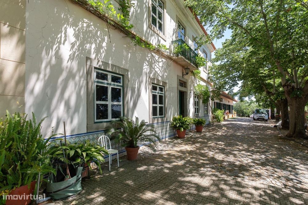 Propriedade única no Alentejo com casa senhorial, 5 moradias e 3,3ha d