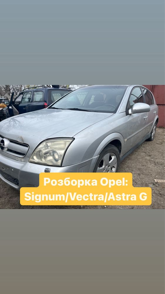 Разборка Opel Signum/Vectra C. Шрот Опель Сигнум