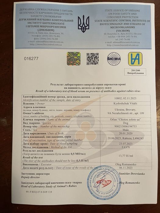 Документы для вывоза вашего питомца за границу