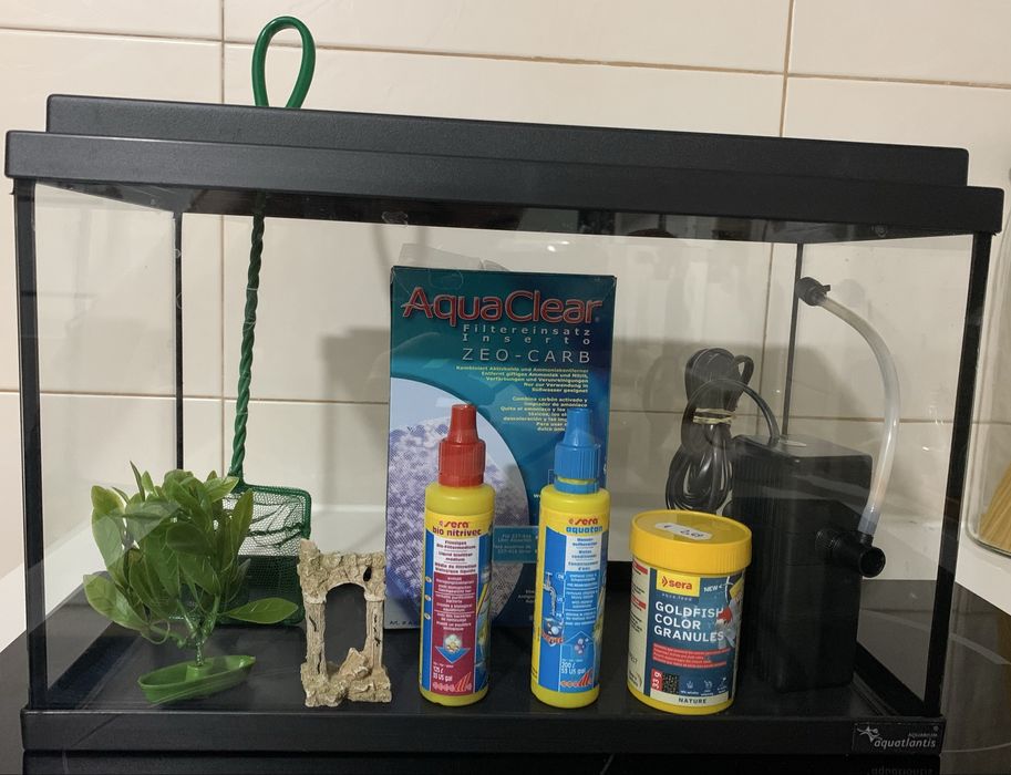Aquario 16L com acessorios
