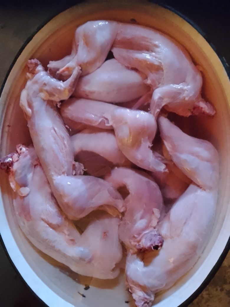 Tuszki królicze wraz z podrobami