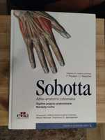 Sobotta, Atlas anatomii człowieka, Narządy ruchu, ogólne pojęcia anato