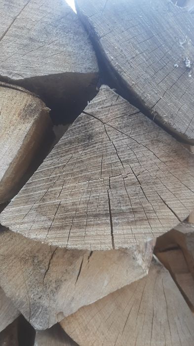 Drewno buk sezonowane 400 zł mp