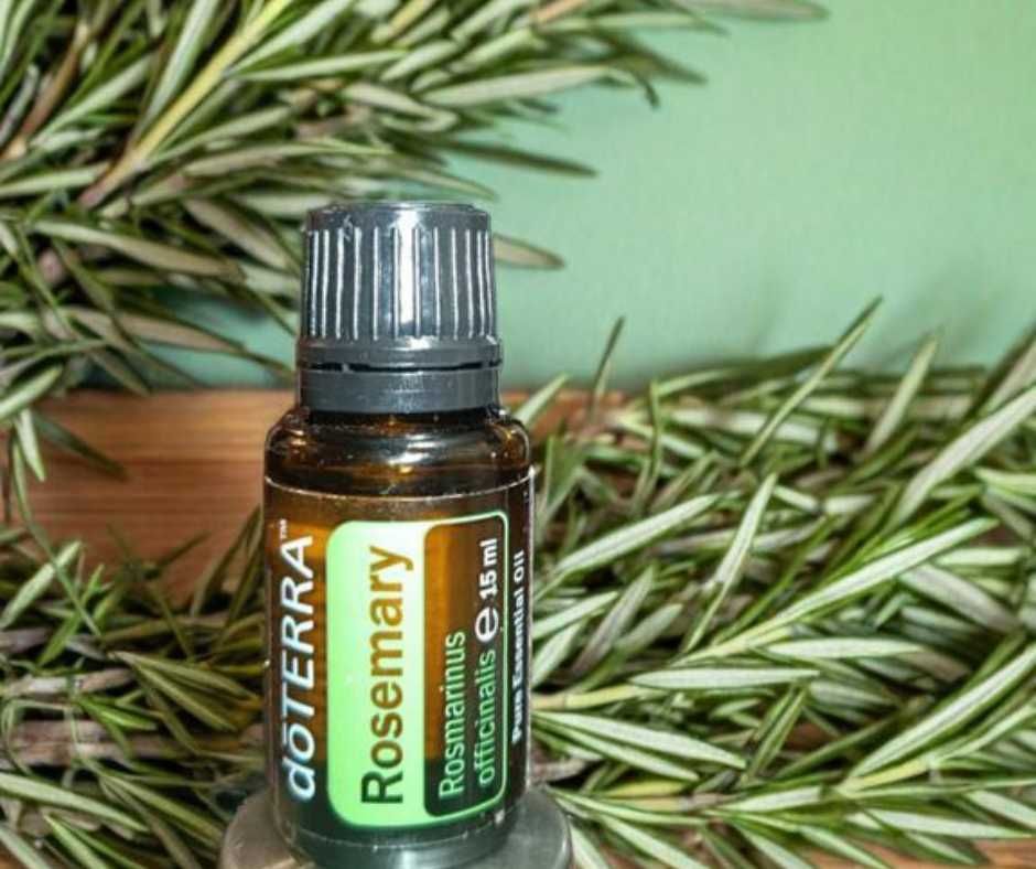 olejek eteryczny Rozmaryn Rosemary doterra