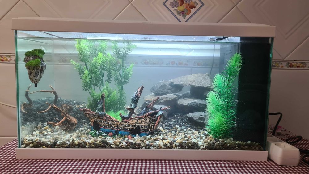 Vendo Aquário 60L com Armário