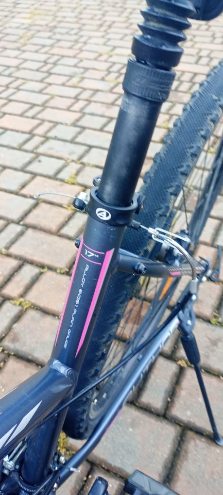Rower crossowy AUTHOR linea grafitowy solidny