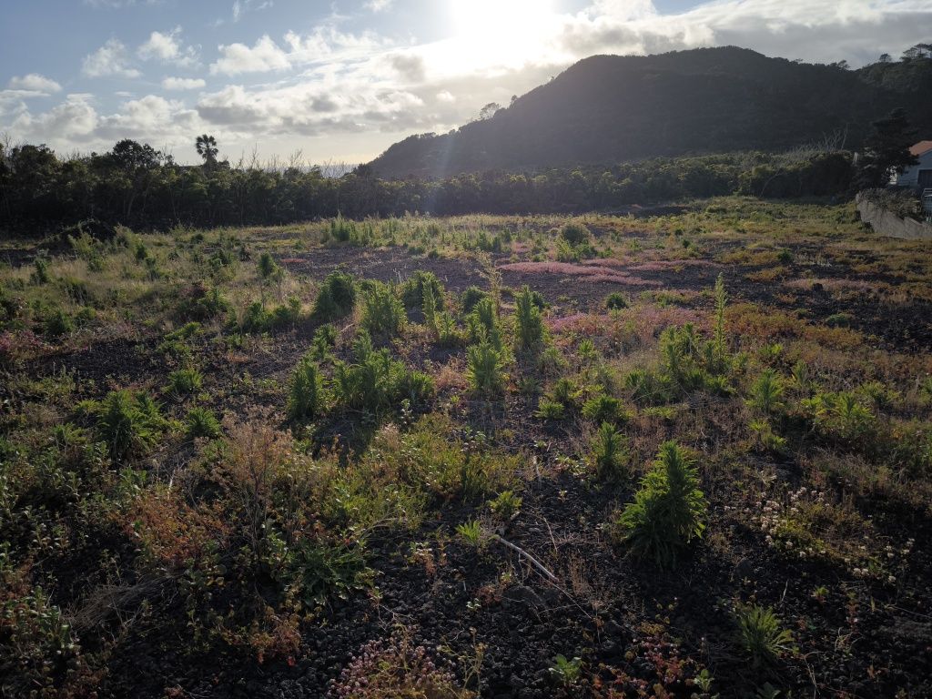 Terreno para venda