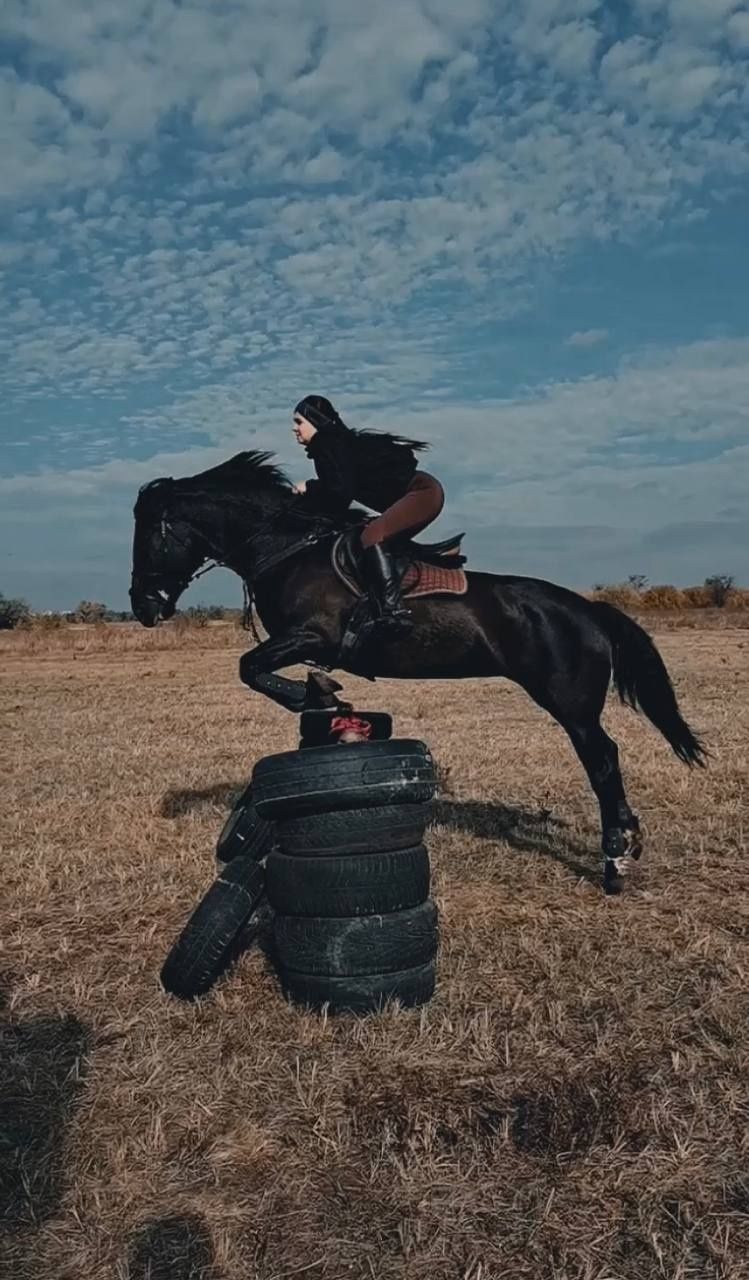 Лошадь, кобила, кінь