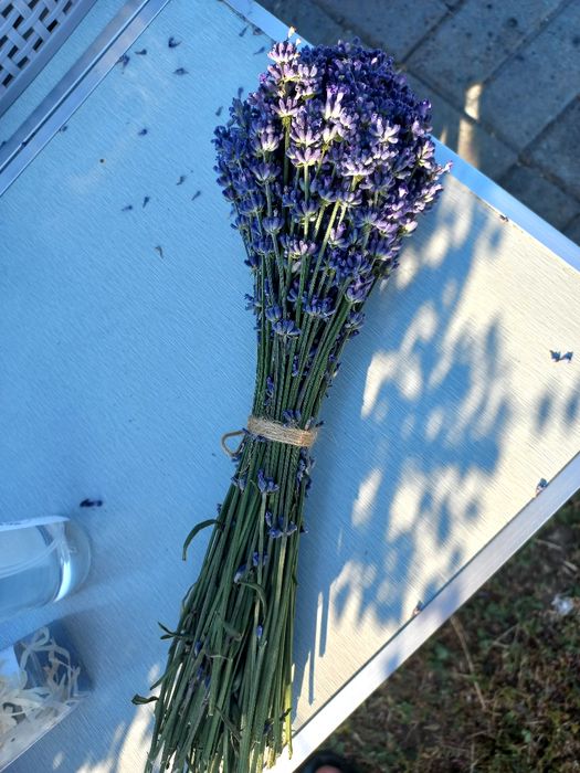 Лаванда букетики