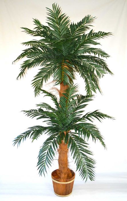 Piękna sztuczna palma wysoka, dużo liści, kokosy drzewko egzotyczne