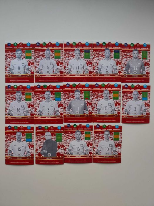 Karty Panini z Piłkarzami Dumni z Naszych 14 szt.